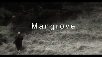 Mangrove